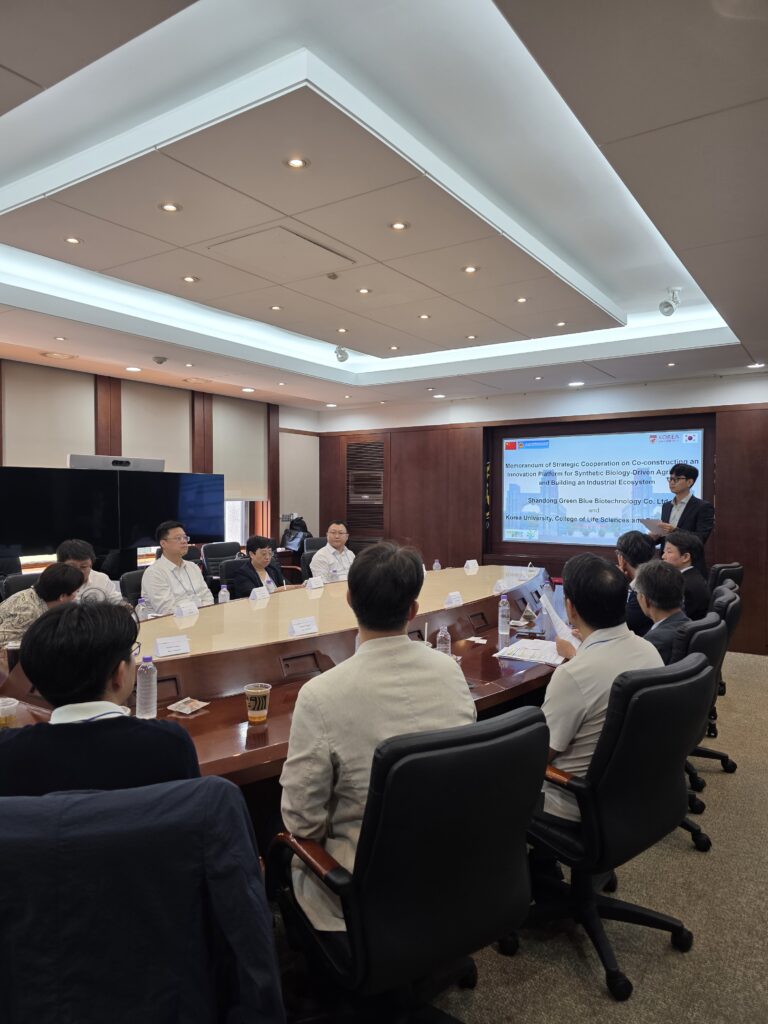 KakaoTalk_20250812_031534493_07