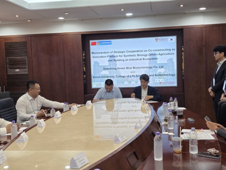 KakaoTalk_20250812_031534493_08