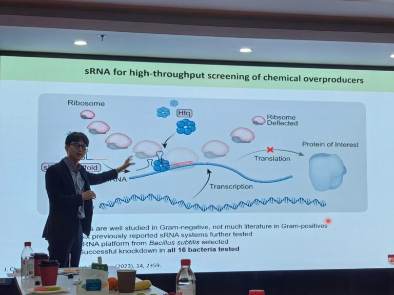 KakaoTalk_20260406_231639140_09
